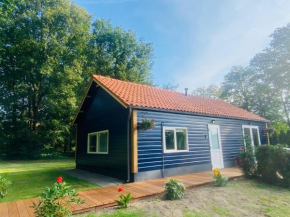 Morning Glory, huisje Forest
